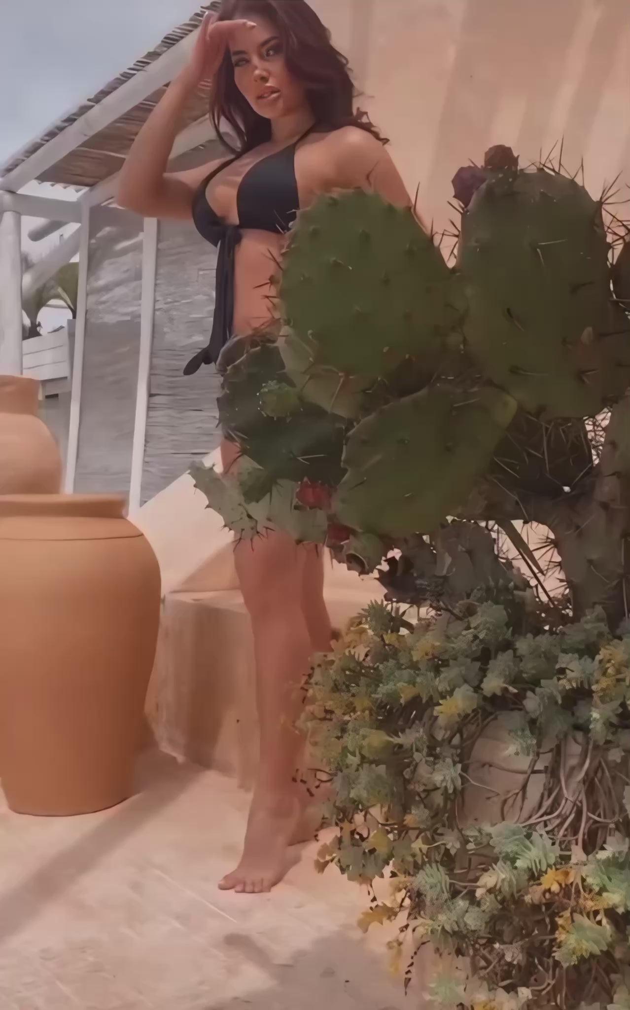 Cargar video: 